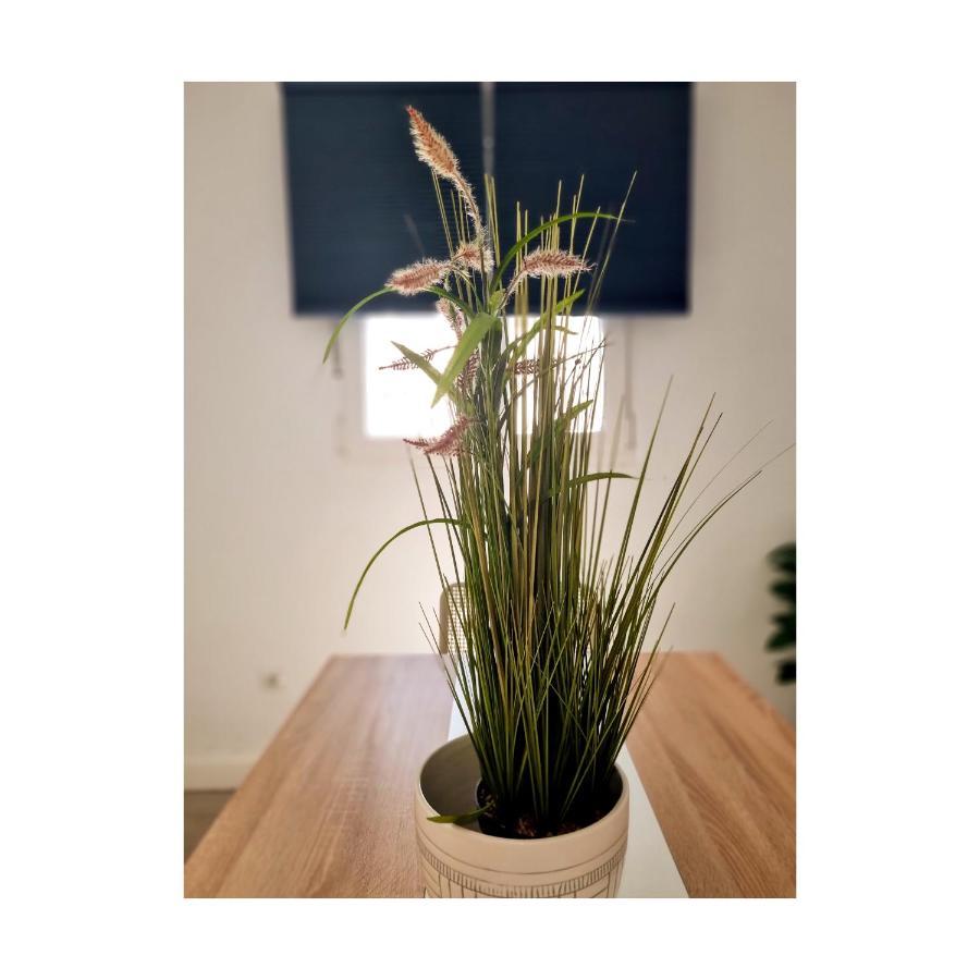 Apartamento Con Sol De Paz Torremolinos Exteriör bild